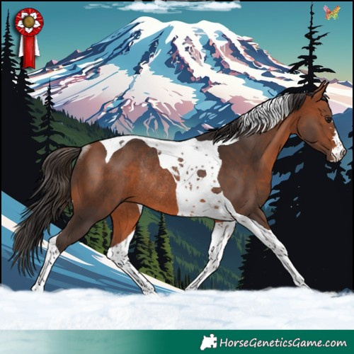 Horse Color:Bay Tobiano Rabicano 