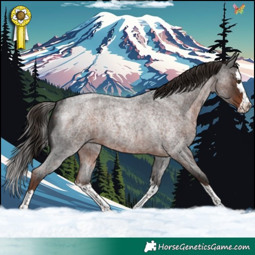 Horse Color:Liver Red Roan Splash Rabicano 