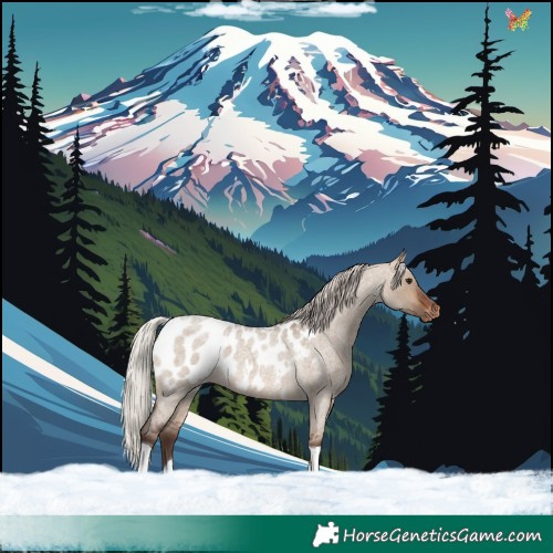 Horse Color:Silver Brown Roan Dun Tobiano Appaloosa 