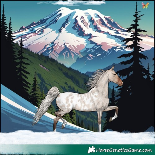 Horse Color:Silver Brown Roan Dun Tobiano Appaloosa 