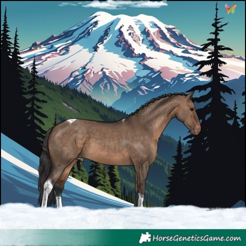 Horse Color:Brown Dun Tobiano Varnish 