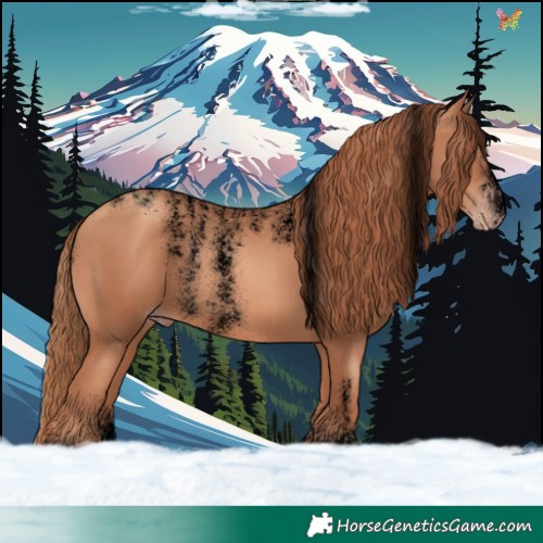Horse Color:Powder White Void Gold Champagne 