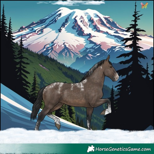 Horse Color:Powder White Brown Dun 