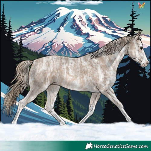 Horse Color:Powder White White Spotted Chocolate Palomino Ice 