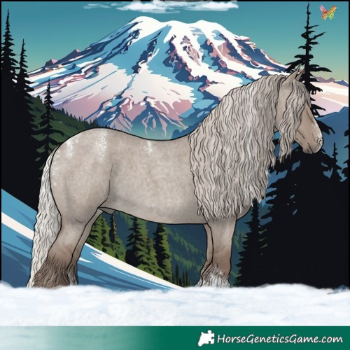 Horse Color:Powder White Silver Grullo Roan Rabicano 