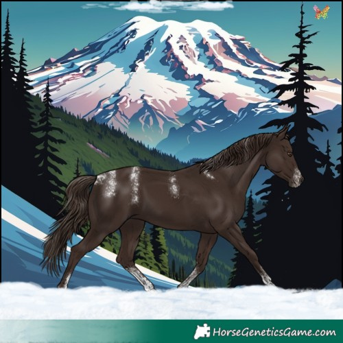 Horse Color:Powder White Liver Chestnut 