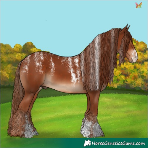 Horse Color:Powder White Chestnut