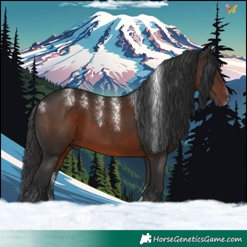 Horse Color:Powder White Liver Chestnut 