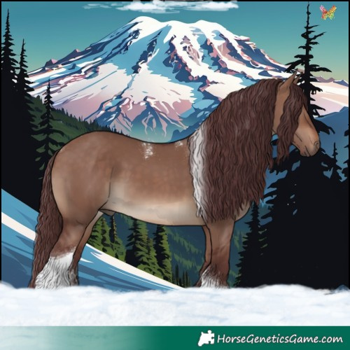 Horse Color:Powder White Chocolate Brown Dun Tobiano 