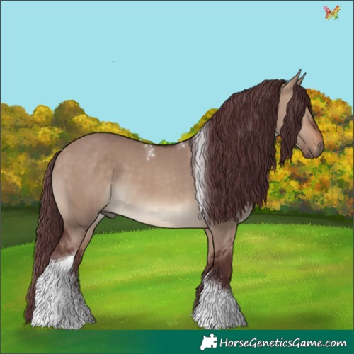 Horse Color:Powder White Chocolate Brown Dun Tobiano