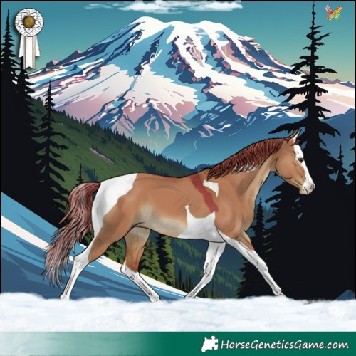Horse Color:Watercolor Liver Red Dun Splash Tobiano 