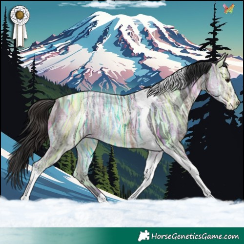 Horse Color:Brown Ice Tobiano 