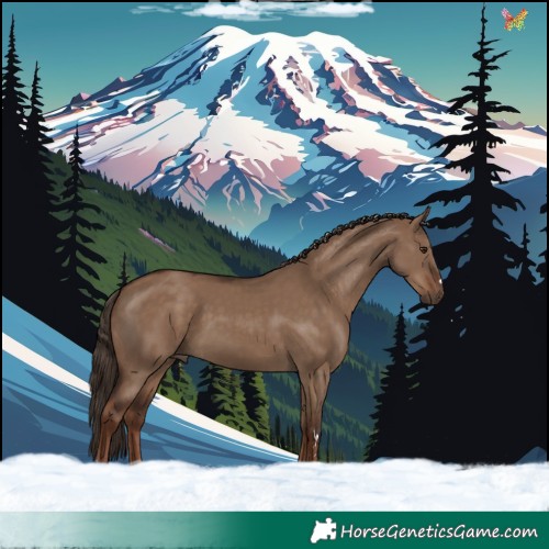Horse Color:Liver Red Dun 