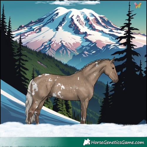 Horse Color:White Spotted Silver Grullo Rabicano 