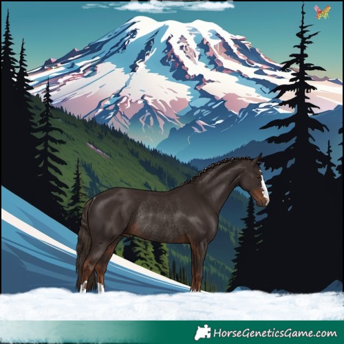 Horse Color:Liver Chestnut Rabicano 