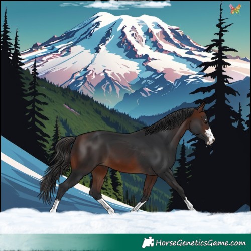 Horse Color:Brown 