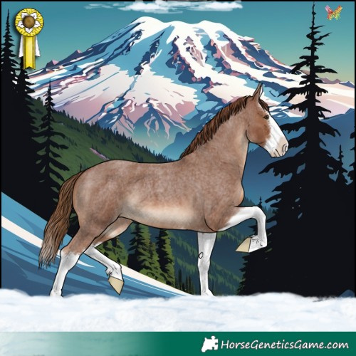 Horse Color:Red Roan Splash 