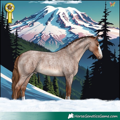 Horse Color:Red Roan 