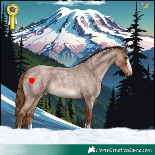 Horse Color:Red Roan 