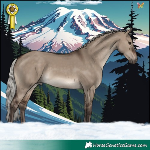 Horse Color:Silver Brown Dun 
