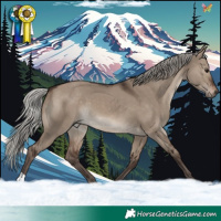 Horse Color:Silver Brown Dun 