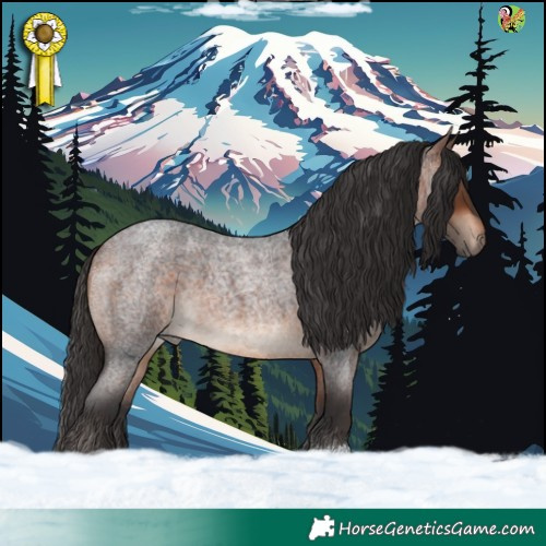 Horse Color:Bay Roan 