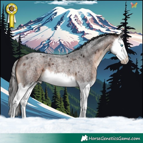 Horse Color:Brown Roan Splash 