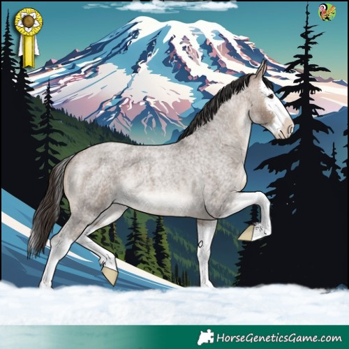 Horse Color:Brown Roan Dun Splash 