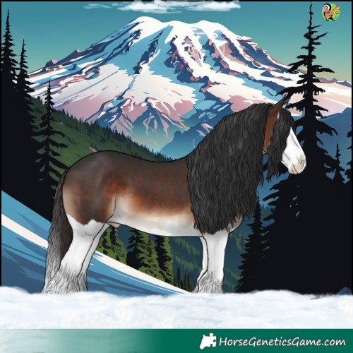 Horse Color:Brown Splash 