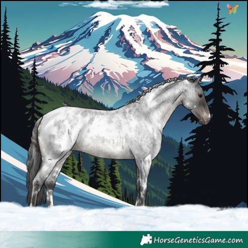 Horse Color:White Spotted Blue Roan Blanket 