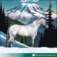 Horse Color:White Spotted Blue Roan Appaloosa 