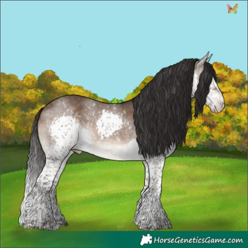 Horse Color:Brown Dun Splash Tobiano