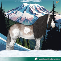 Horse Color:Brown Dun Splash Tobiano 