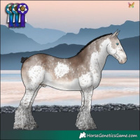 Horse Color:Brown Dun Splash Tobiano