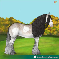 Horse Color:Brown Dun Splash Tobiano 