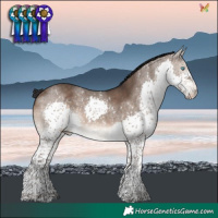 Horse Color:Brown Dun Splash Tobiano