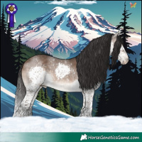 Horse Color:Brown Dun Splash Tobiano