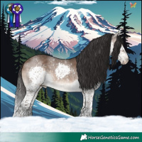 Horse Color:Brown Dun Splash Tobiano