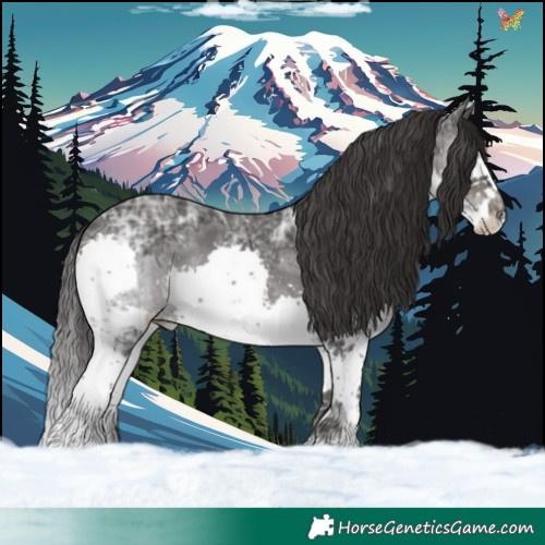 Horse Color:Smoky Black Ice Splash 