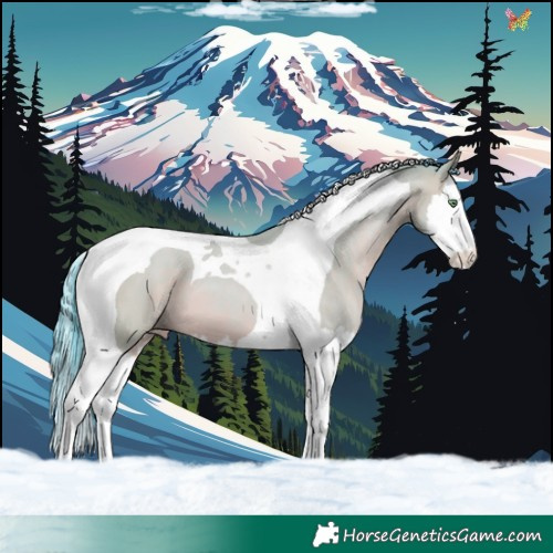 Horse Color:Watercolor Sable Champagne Dun Splash Tobiano 