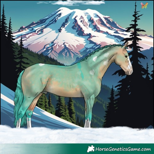 Horse Color:Watercolor Buckskin Dun 