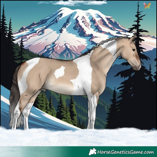 Horse Color:Bay Dun Tobiano 