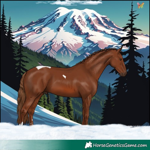 Horse Color:Chestnut Tobiano 