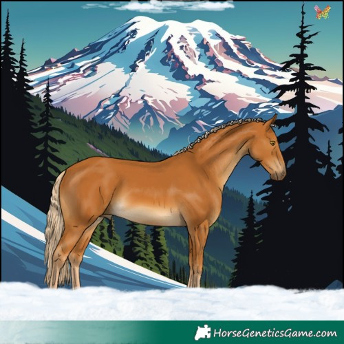 Horse Color:Palomino 