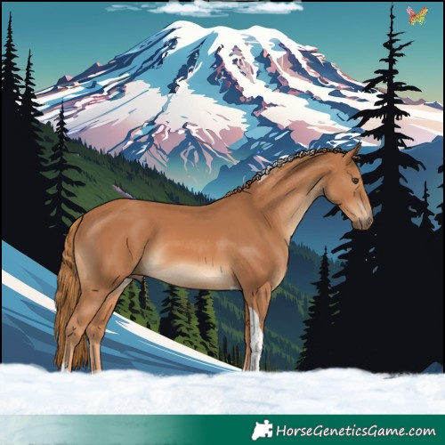 Horse Color:Chestnut Tobiano 