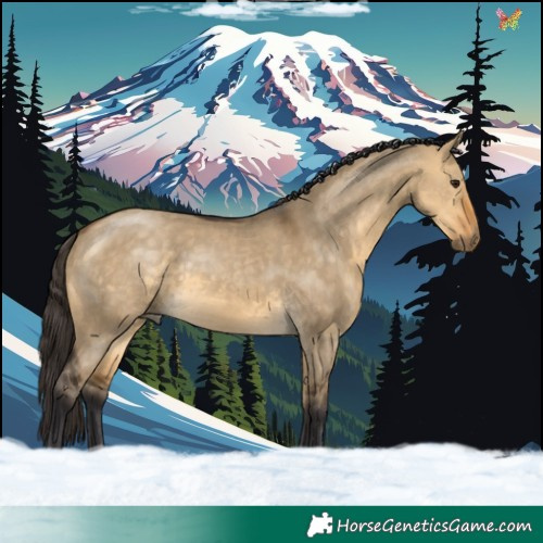 Horse Color:Buckskin Dun Rabicano 