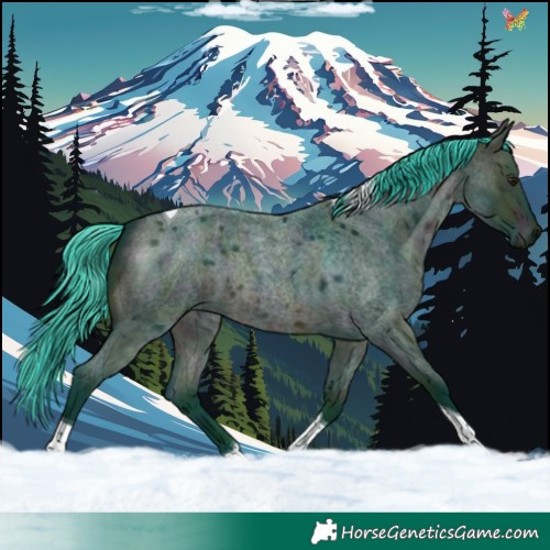 Horse Color:Watercolor Midnight Bay Roan Dun Tobiano 