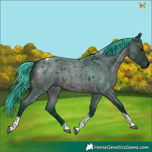 Horse Color:Watercolor Midnight Bay Roan Dun Tobiano
