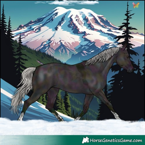 Horse Color:Watercolor Midnight Silver Brown Dun Sabino Tobiano 