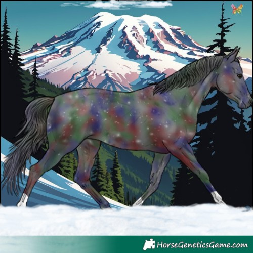 Horse Color:Nacre Black 